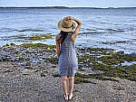 Click to see Y_DSF1199-MOD.JPG