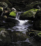 Click to see Y_DSF1325-MOD.JPG