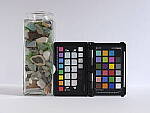Click to see Y_DSF1428-GF63-f8.JPG