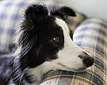 Click to see Y_DSF1561-MOD.JPG