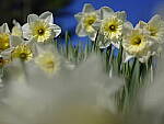 Click to see Y_DSF1602.JPG