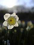 Click to see Y_DSF1634.JPG