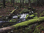 Click to see Y_DSF1753-1758-STACKED-MOD.JPG