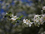Click to see Y_DSF2263.JPG