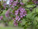 Click to see Y_DSF2291.JPG