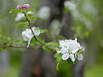 Click to see Y_DSF2304.JPG