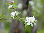 Click to see Y_DSF2316.JPG