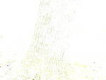 Click to see Y_DSF2361-ISO-100-PLUS-5EV.JPG