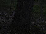 Click to see Y_DSF2369-ISO-400-MINUS-4EV.JPG