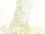 Click to see Y_DSF2413-ISO-100-ESHUTTER-PLUS-4EV.JPG
