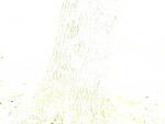 Click to see Y_DSF2414-ISO-100-ESHUTTER-PLUS-5EV.JPG