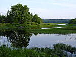 Click to see Y_DSF2572.JPG
