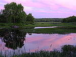 Click to see Y_DSF2703.JPG