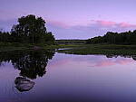 Click to see Y_DSF2707.JPG
