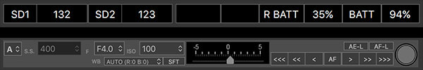 Fuji GFX Review: Field Test -- Tethered Shooting