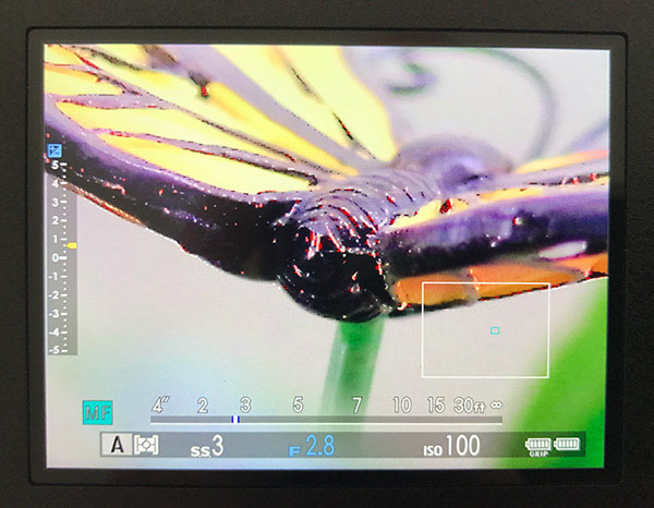 Fuji GFX Review: Field Test -- Manual Focus