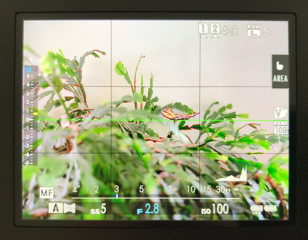 Fuji GFX Review: Field Test -- Manual Focus