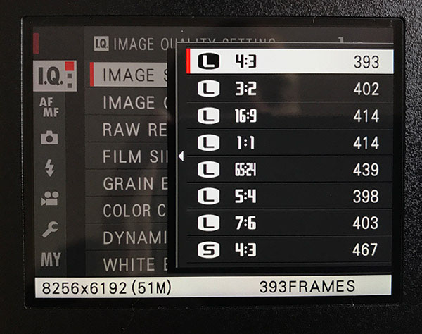 Fuji GFX Review: Field Test -- Video Frame
