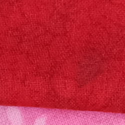 100% crop from Fujifilm GFX 50S test image taken at ISO 1600