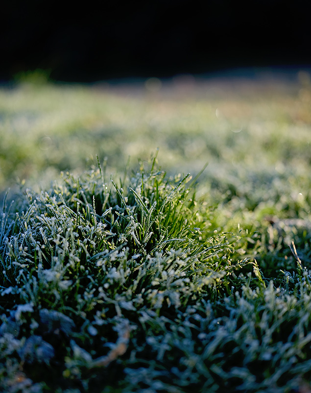 Fuji GFX - Sample Image