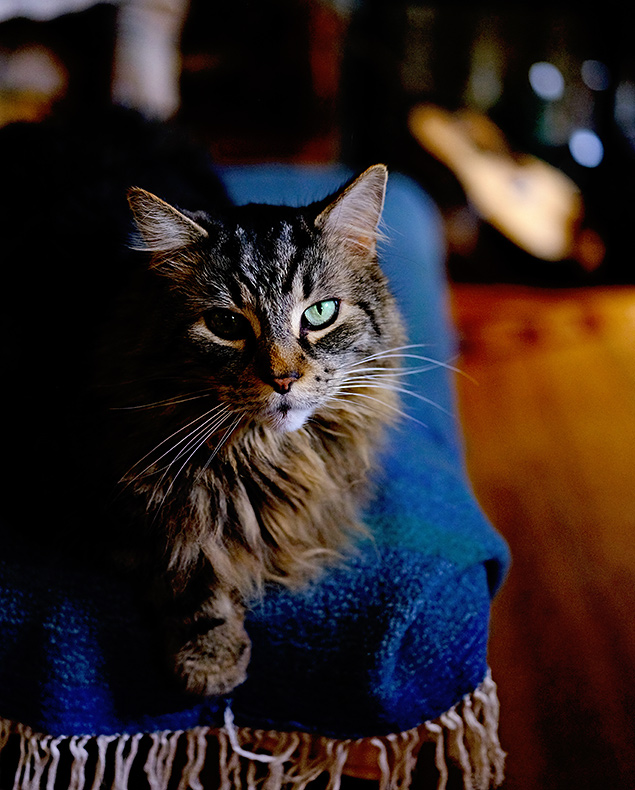 Fuji GFX - Sample Image