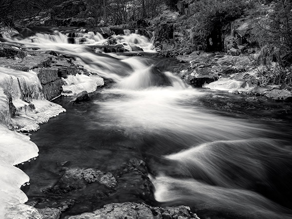 Fujifilm GFX Review: Field Test -- Gallery Image