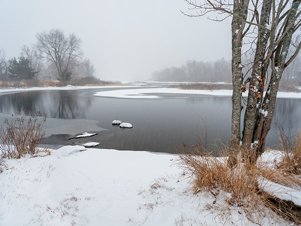Fujifilm GFX Review: Field Test -- Gallery Image