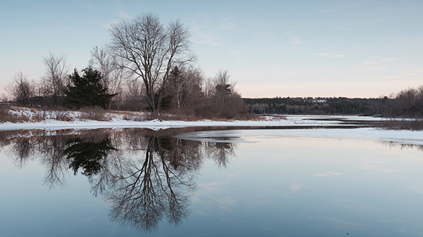 Fujifilm GFX Review: Field Test -- Gallery Image