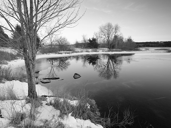 Fujifilm GFX Review: Field Test -- Gallery Image