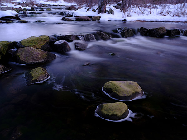 Fujifilm GFX Review: Field Test -- Gallery Image