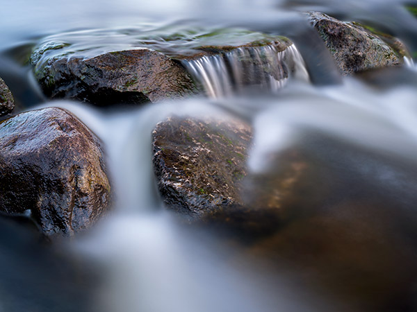Fujifilm GFX Review: Field Test -- Gallery Image