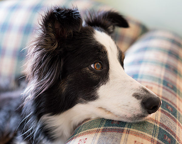 Fujifilm GFX Review: Field Test -- Gallery Image
