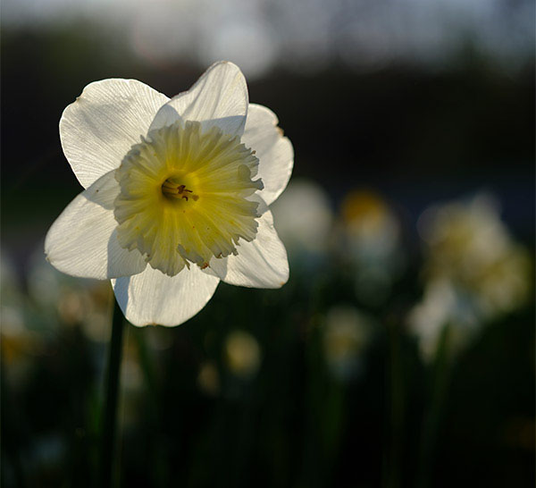 Fujifilm GFX Review: Field Test -- Gallery Image