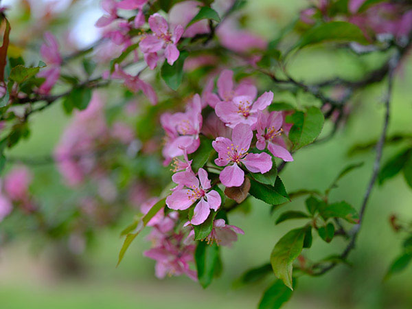 Fujifilm GFX Review: Field Test -- Gallery Image