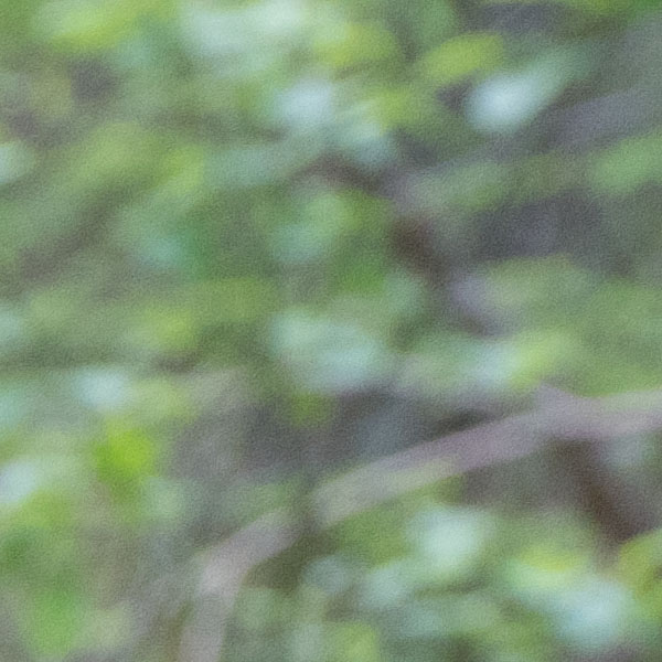 Fujifilm GFX Review: Field Test -- Gallery Image