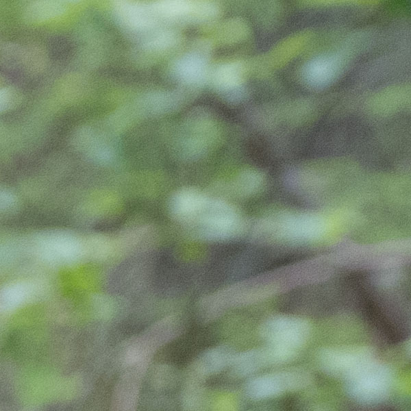 Fujifilm GFX Review: Field Test -- Gallery Image