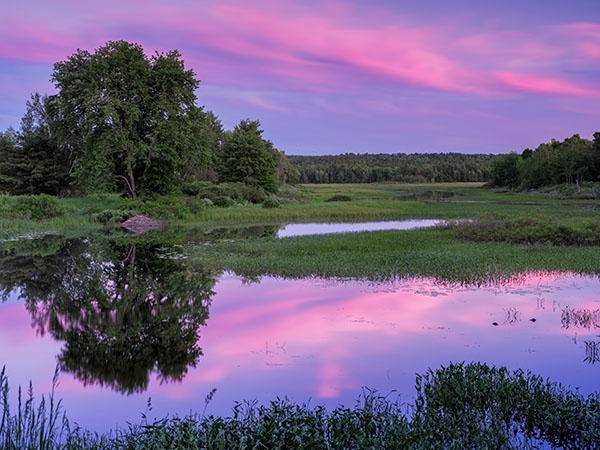 Fujifilm GFX Review: Field Test -- Gallery Image