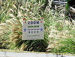 Click to see Y-S1-DSCF8073-Tri.JPG