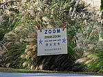 Click to see Y-S1-DSCF8125-HH-NoIS.JPG