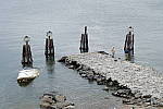 Click to see YDSCF1362.JPG
