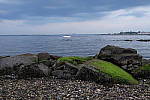 Click to see YDSCF2147.JPG