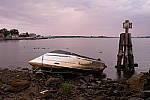Click to see YDSCF2223.JPG