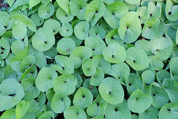 Fujifilm X-A2 Review -- Field Test Gallery Image