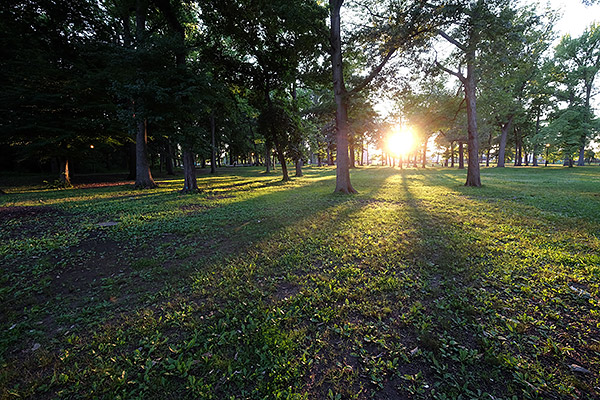 Fujifilm X-A2 Review -- Gallery Image