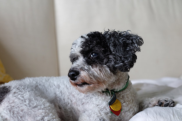Fujifilm X-A2 Review -- Field Test Gallery Image