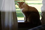 Click to see Y_DSF1990-FLASH-OBSTRUCTED.JPG