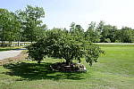 Click to see Y_DSF2416-FRAME-COMPARISON.JPG