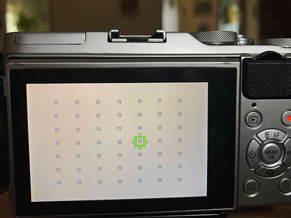 Fujifilm X-A3 Review: Field Test -- Autofocus Points