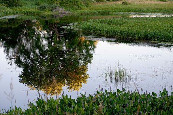 Fujifilm X-A3 Review: Field Test -- Gallery Image