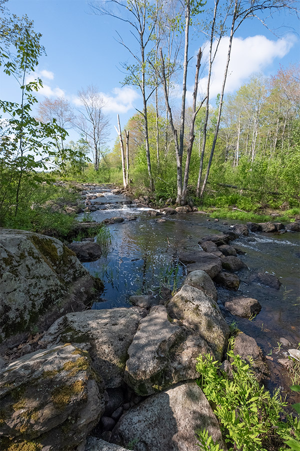 Fujifilm X-A5 Review: Field Test -- Gallery Image
